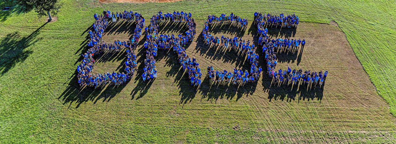 Blue Ribbon Schools of Excellence (BRSE)