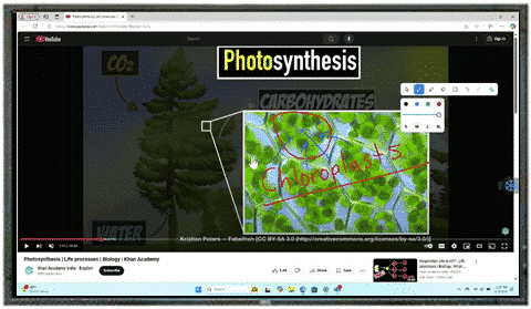 ScreenBeam Essential Tools screenshot
